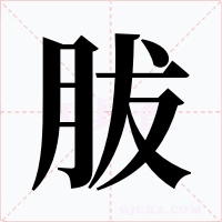 胈