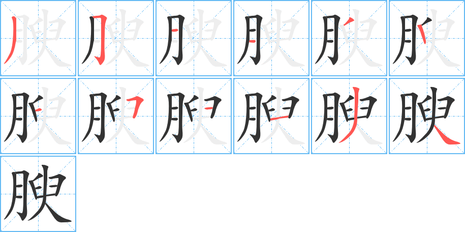 腴的笔顺写法