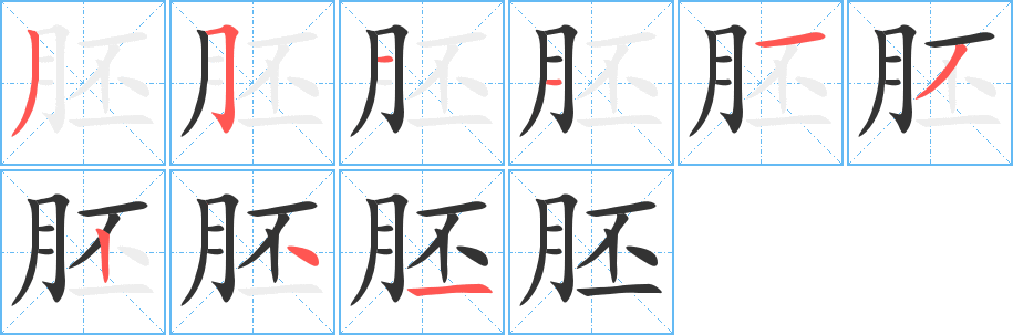 胚的笔顺写法