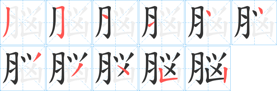 脳的笔顺写法