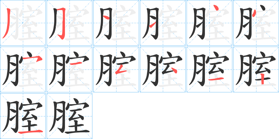 腟的笔顺写法