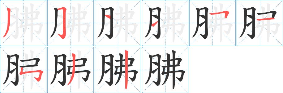 胇的笔顺写法