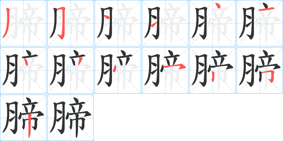腣的笔顺写法