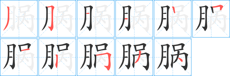 脶的笔顺写法