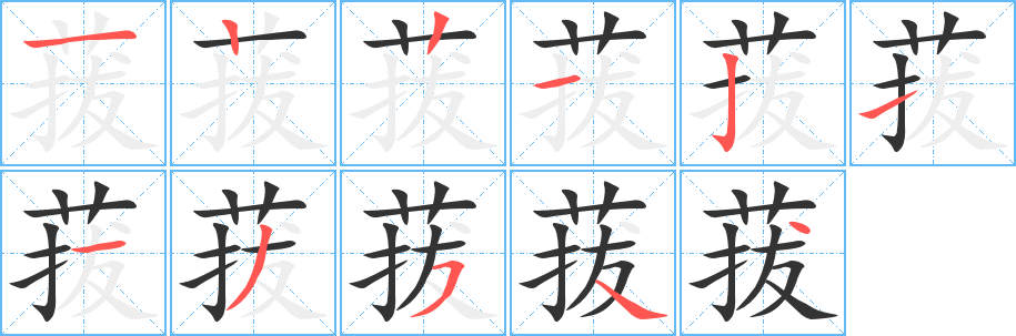 菝的笔顺写法