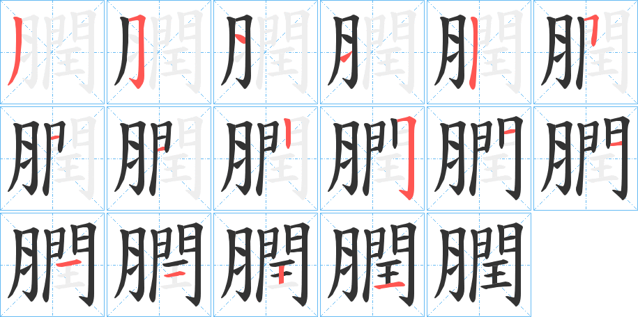 膶的笔顺写法
