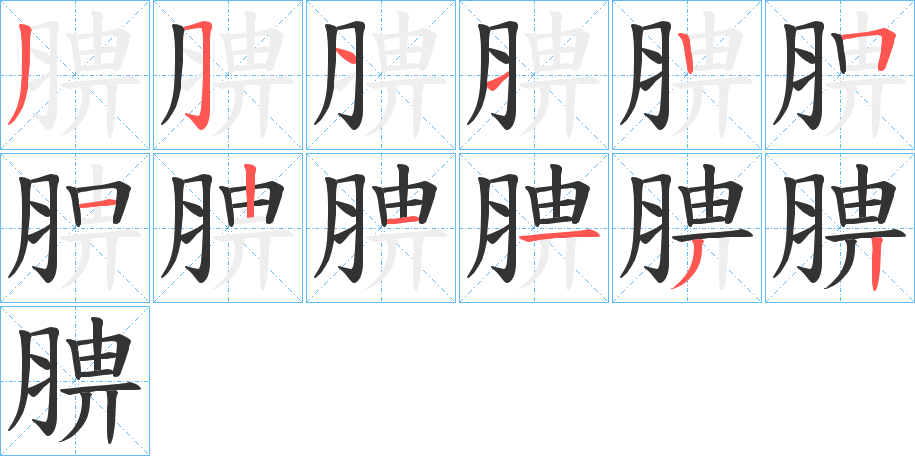 腗的笔顺写法