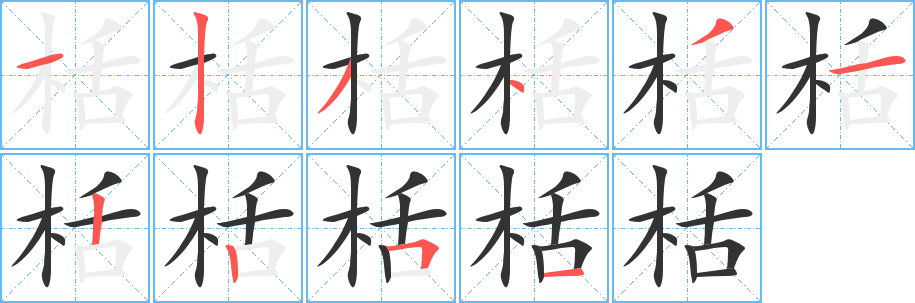 栝的笔顺写法