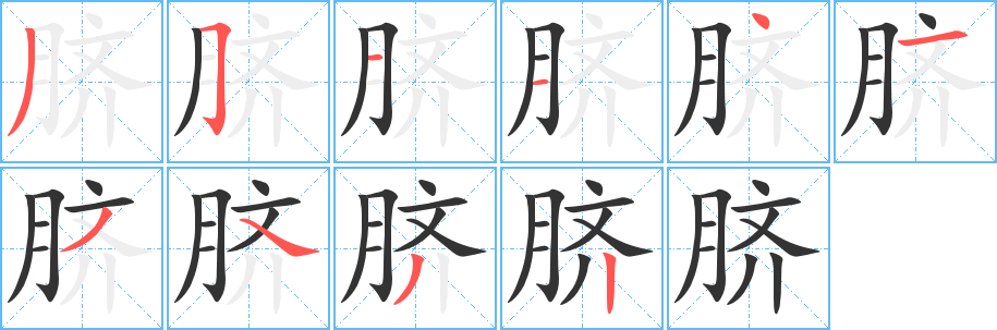 脐的笔顺写法