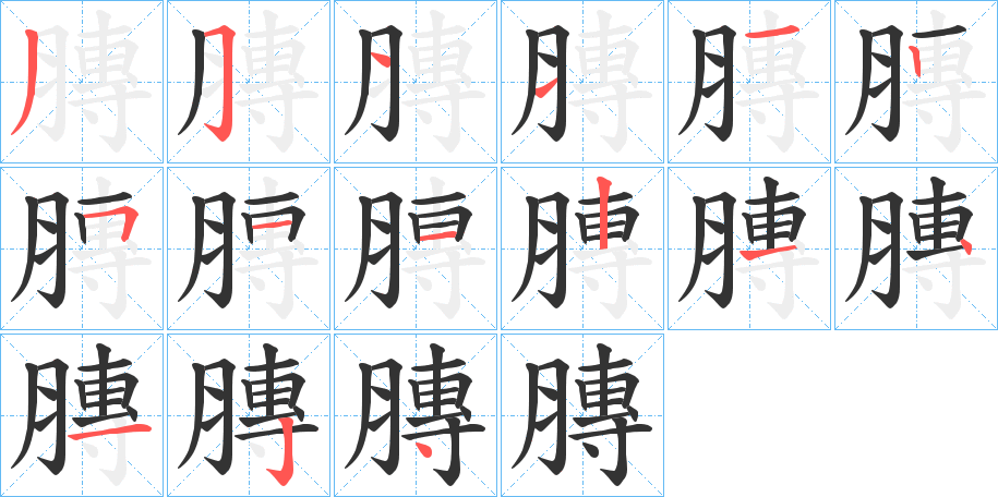 膞的笔顺写法
