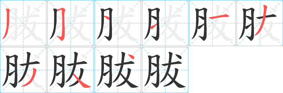 胈的笔顺写法