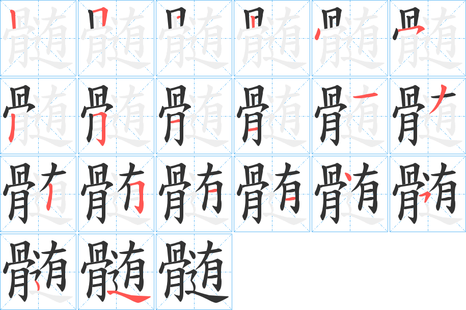 髄的笔顺写法