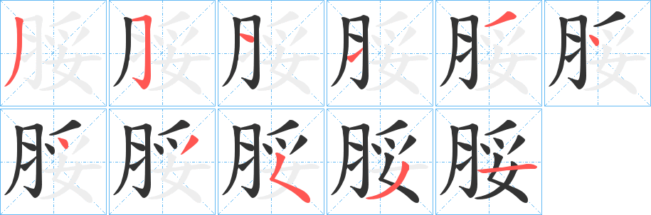 脮的笔顺写法