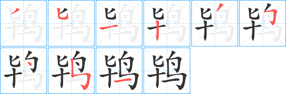鸨的笔顺写法