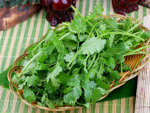 胡荽