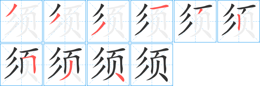 须的笔顺写法