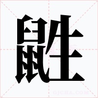 鼪