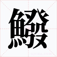 鱍
