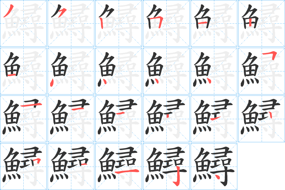 鱘的笔顺写法