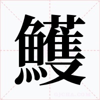 鱯