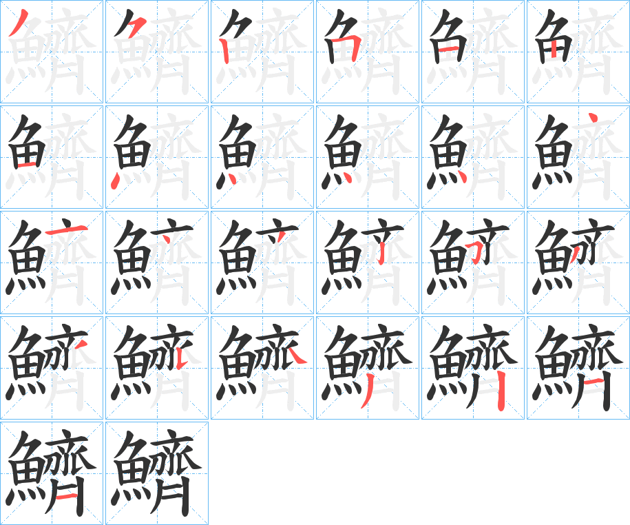 鱭的笔顺写法