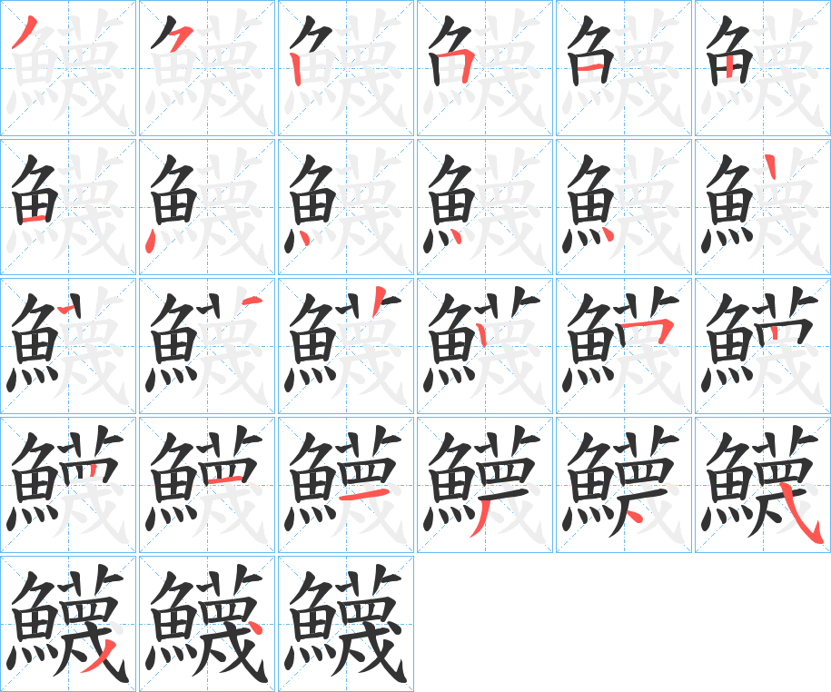 鱴的笔顺写法