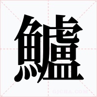 鱸