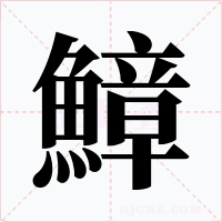 鱆