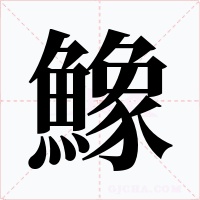 鱌