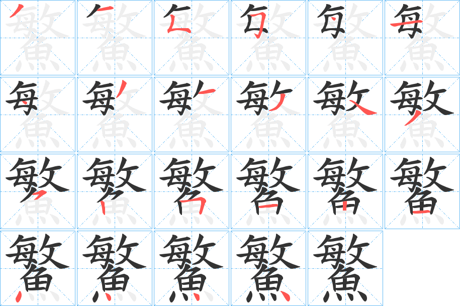鰵的笔顺写法