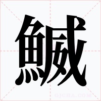 鰄
