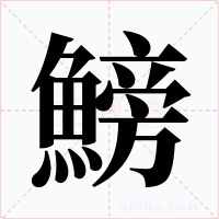 鰟
