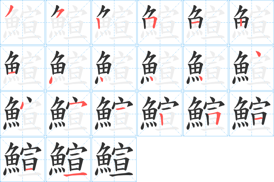 鰚的笔顺写法