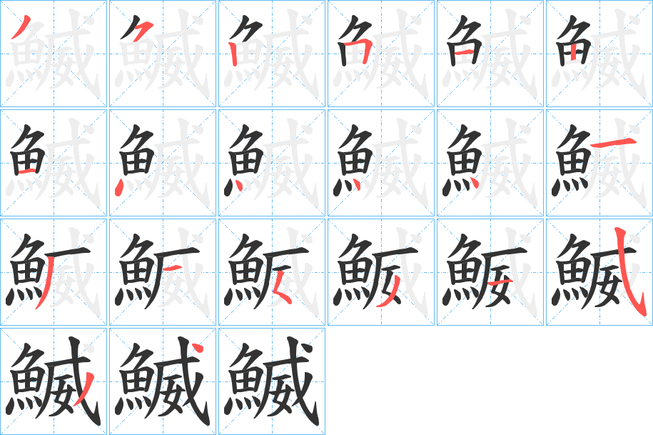 鰄的笔顺写法