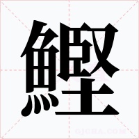 鰹