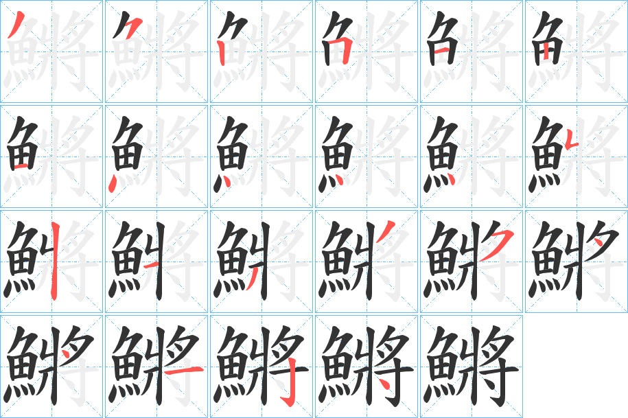 鱂的笔顺写法