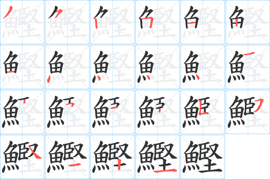 鰹的笔顺写法