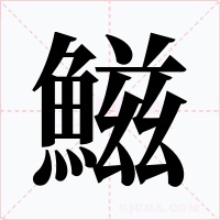鰦