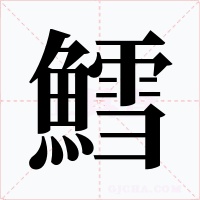 鱈