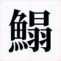鰨