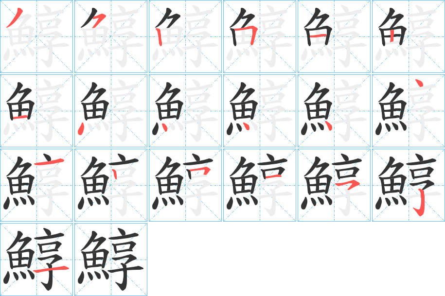 鯙的笔顺写法