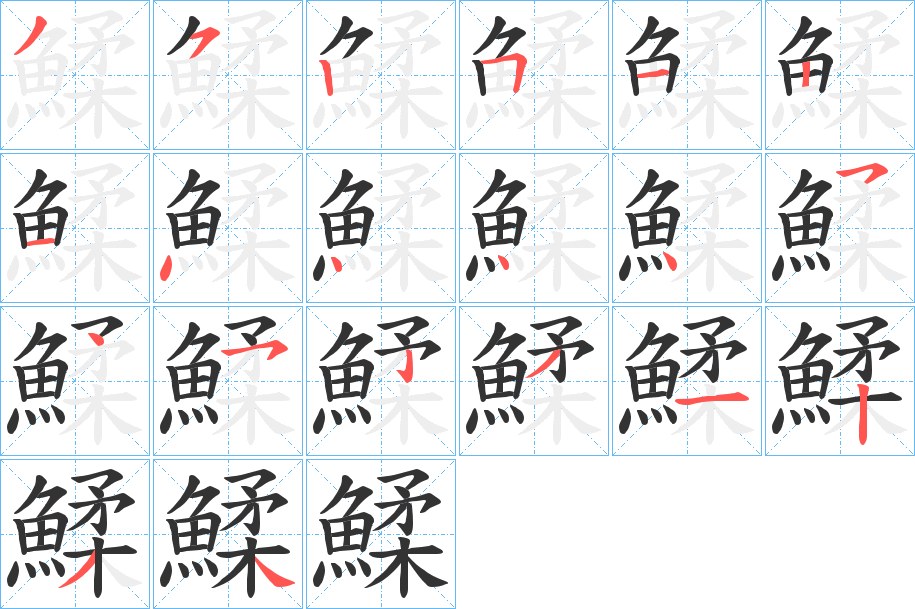 鰇的笔顺写法