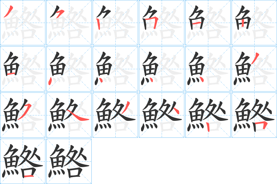 鯦的笔顺写法