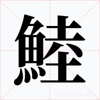 鯥