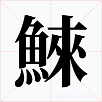 鯠