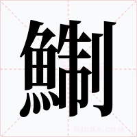 鯯