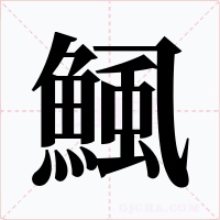鯴