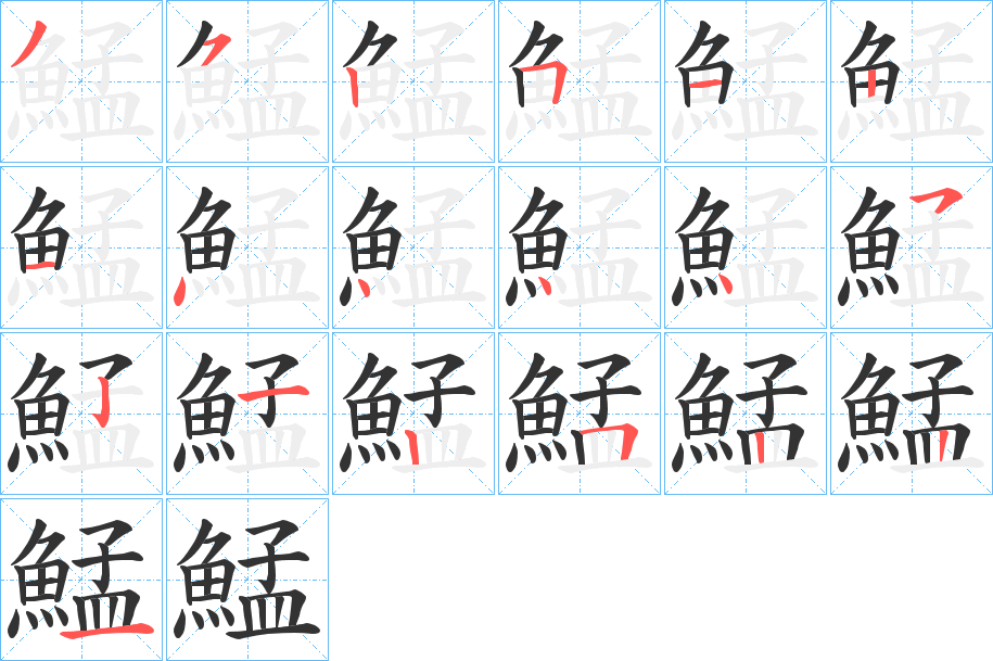 鯭的笔顺写法