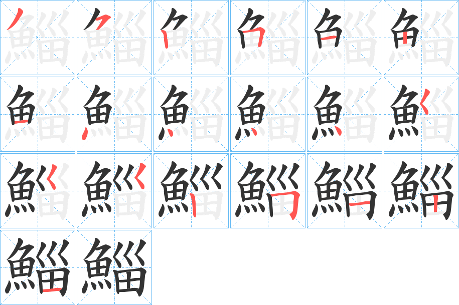 鯔的笔顺写法