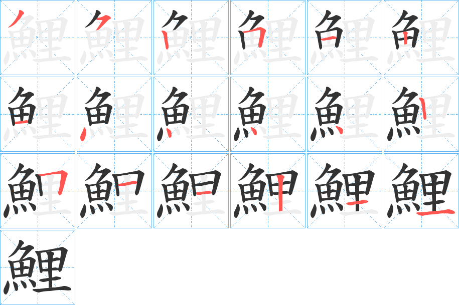 鯉的笔顺写法